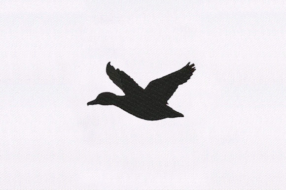 Mallard Bird